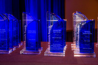 2019 Pinnacle Awards (10/31/19)