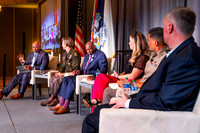 25 AFCEA IDEA Panel (8/16)